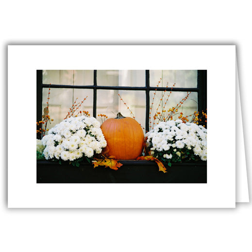 Helen Eddy photo card - Pumpkin and White Mums - Item 100D-1339-C