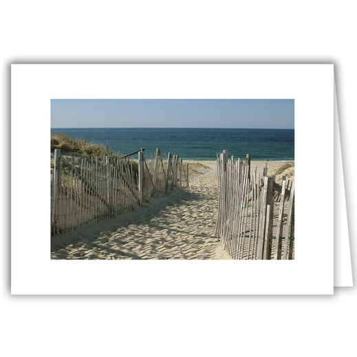 Helen Eddy photo card - Beach Path Between 2 Fences - Cape Cod - Item 119D-63