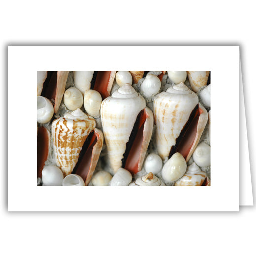Helen Eddy photo card - Three Shells Across - Item 125D-47