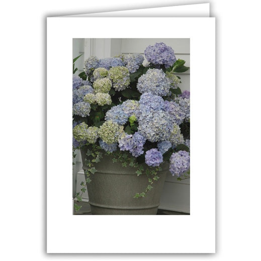 Helen Eddy photo card - Hydrangea in Bucket - Item 131D-06