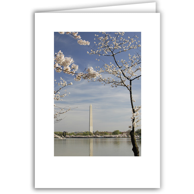 Helen Eddy photo card - Washington Monument (V) - Washington DC - Item 140d-50