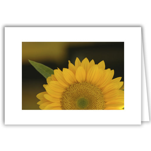Helen Eddy photo card - Sunflower - Item 15D-111