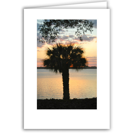 Helen Eddy photo card - Palm Tree with Orange Sky - Florida - Item 160D-10