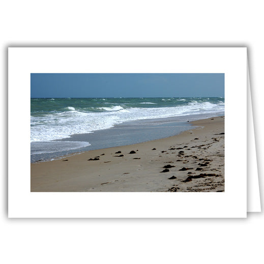 Helen Eddy photo card - Debris After Low Tide - Florida - Item 161D-41