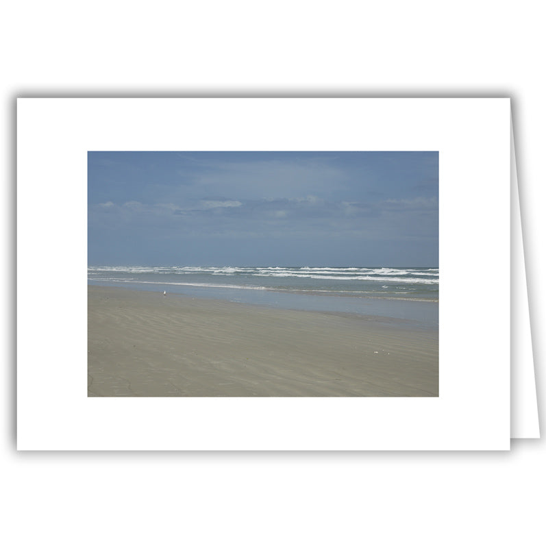 Helen Eddy photo card - Low Tide, Lone Gull, FL - Item 161d-86