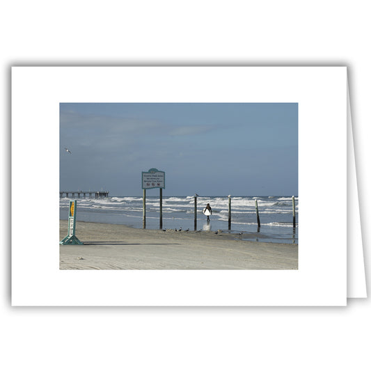 Helen Eddy photo card - Traffic Free Zone, FL - Item 162d-13