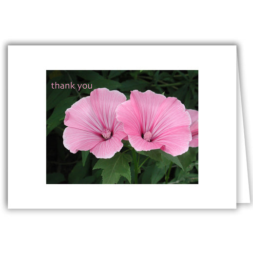 Helen Eddy photo card - Thank You Pink Flowers - Item 18D-30