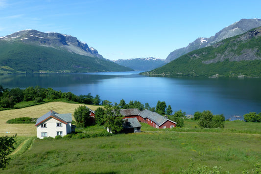 Helen Eddy photo card - Norway Landscape - Item 195D-36