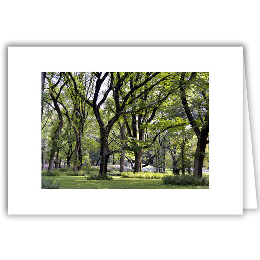 Helen Eddy photo card - Central Park, NY - Item 201d-34