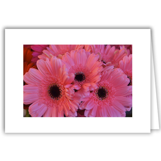 Helen Eddy photo card - Happy Birthday (Pink Daisies) - Item 270D-45