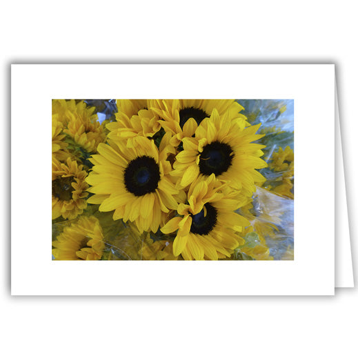 Helen Eddy photo card - Yellow Bunch of Sunflowers (V) - Item 271D-12