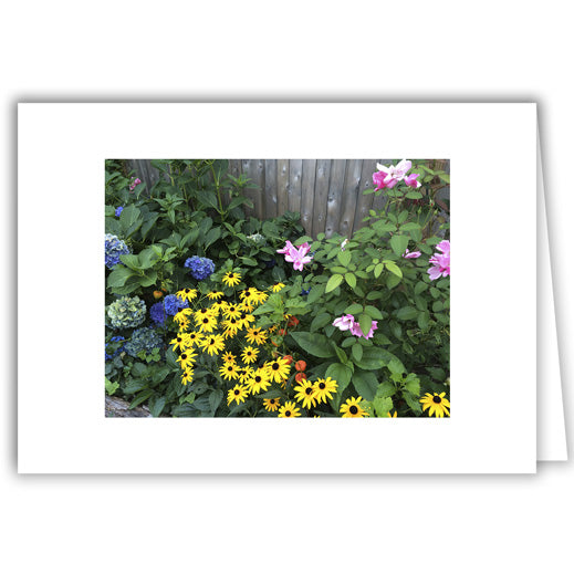 Helen Eddy photo card - Garden Flowers - Item 272D-56
