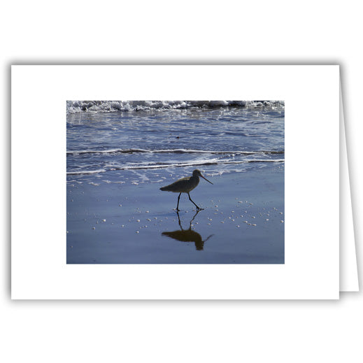 Helen Eddy photo card - Sea Bird in Stride - Santa Barbara - Item 273D-6
