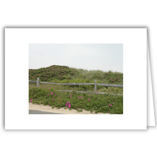 Helen Eddy photo card - Flowering Wild Rose Bushes with Fence - Item 27D-81