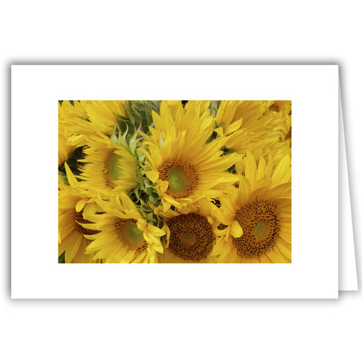 Helen Eddy photo card - Yellow Sunflowers - Item 282D-45