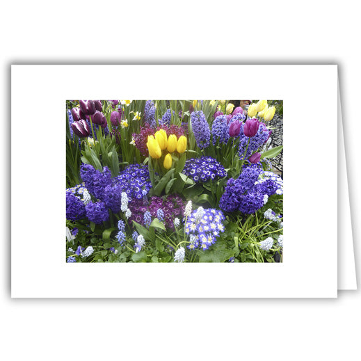 Helen Eddy photo card - Spring Blossoms - Item 292D-22