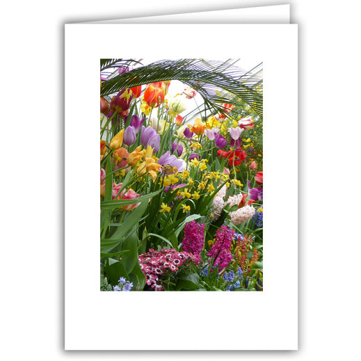 Helen Eddy photo card - Spring Flowers in Greenhouse - Item 292D-29
