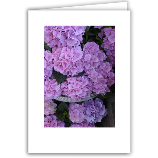 Helen Eddy photo card - Pink Hydrangea in Basket - Item 292D-54