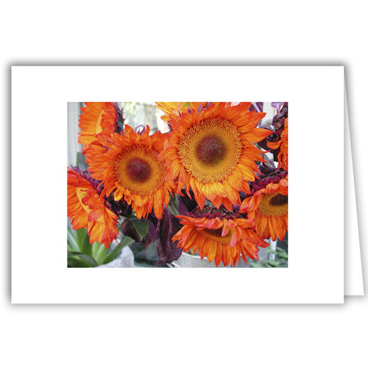 Helen Eddy photo card - Orange Coral Sunflowers - Item 2D-8527