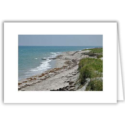 Helen Eddy photo card - Grass and Seaweed - Florida - Item 30D-44
