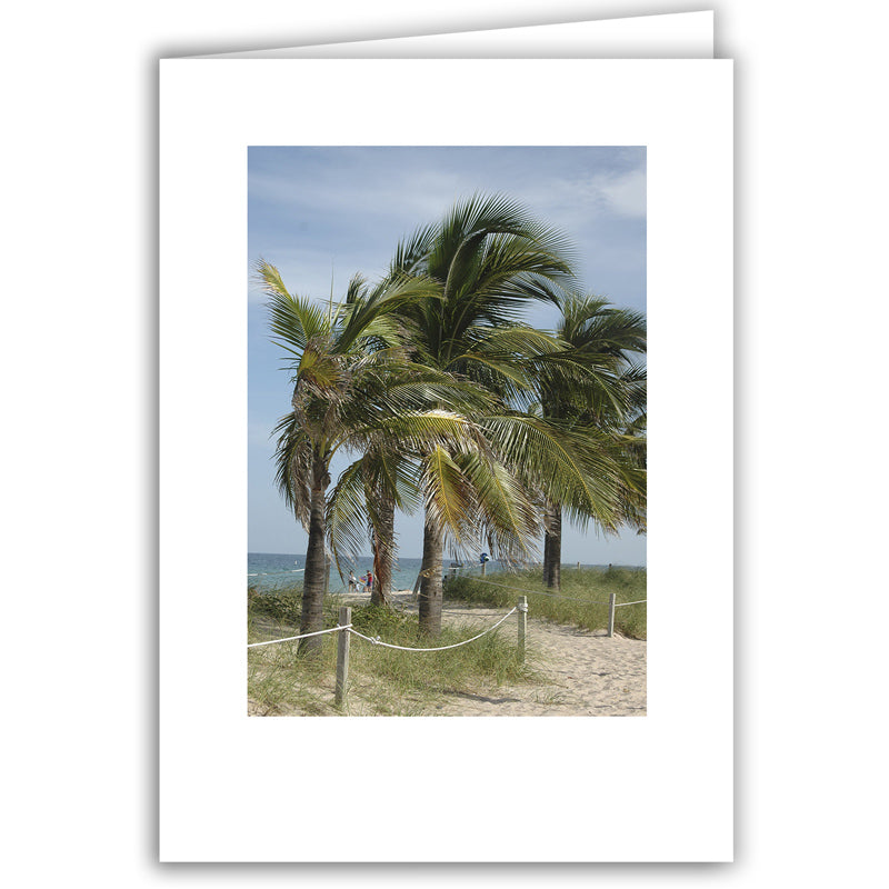 Helen Eddy photo card - Palms On Beach, FL - Item 30d-90
