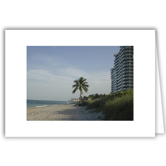 Helen Eddy photo card - Highrise by Beach, FL - Item 30d-97
