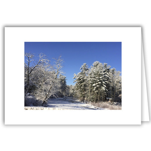 Helen Eddy photo card - Winter Trail - Item 325D-28