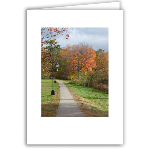 Helen Eddy photo card - Autumn Lamplight Path - Item 325D-67