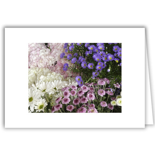 Helen Eddy photo card - Hydrangeas, Asters, Mums, Daisies - Item 333D-78