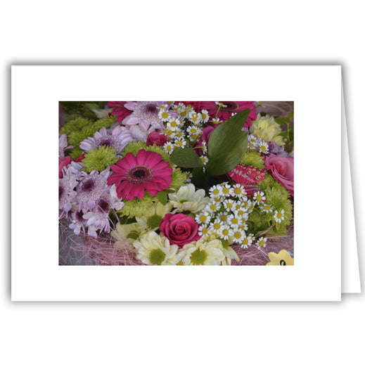 Helen Eddy photo card - Flower Nest Pinks and White - Item 336D-26