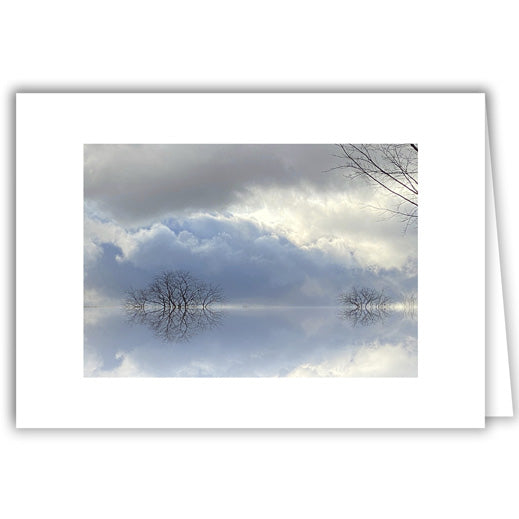 Helen Eddy photo card - Silver Lining Landscape - Item 347D-1
