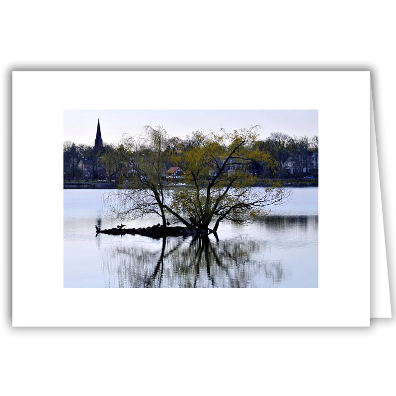 Helen Eddy photo card - Jamaica Pond Island, Jamaica Plain, MA - Item 352d-10