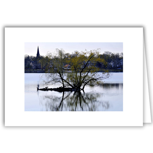 Helen Eddy photo card - Jamaica Pond Island, Jamaica Plain, MA - Item 352d-10