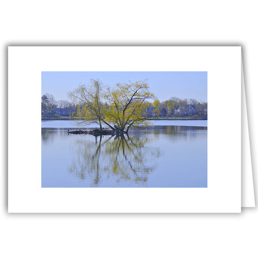 Helen Eddy photo card - Jamaica Pond(h), Jamaica Plain, MA - Item 352d-13