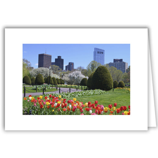 Helen Eddy photo card - Boston Public Garden Tulips - Item 355D-49