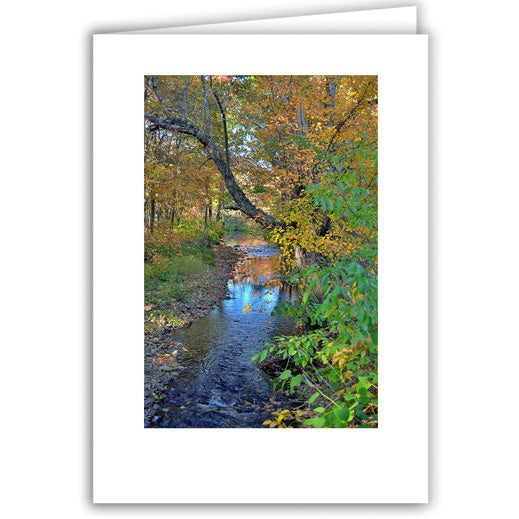 Helen Eddy photo card - Autumn Creek Flowing Gently - Item 357D-161