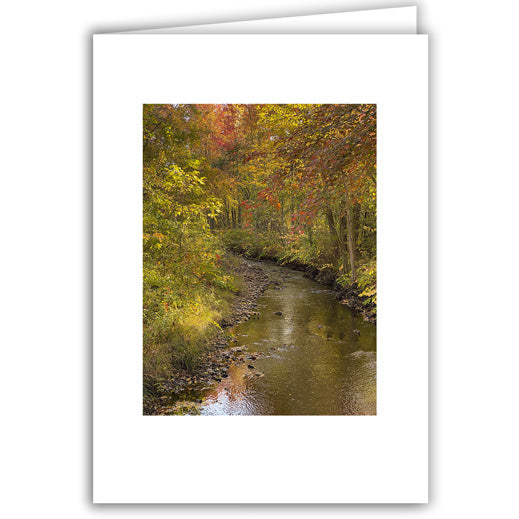 Helen Eddy photo card - Autumn Creek - Item 357D-162