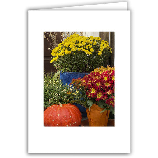 Helen Eddy photo card - Autumn Arrangement Flowers and Pumpkin - Item 358D-18