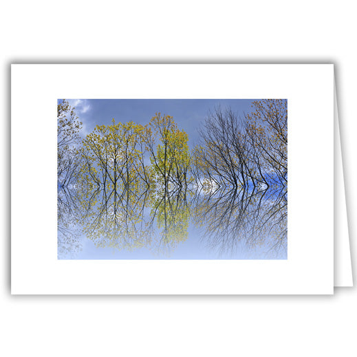 Helen Eddy photo card - Spring Trees Reflection - Item 364D-32