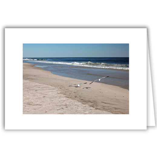Helen Eddy photo card - Gulls Over Beach - Long Island - Item 44D-30