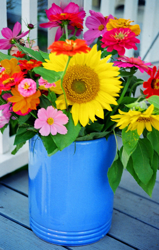 Helen Eddy photo card - Flowers in Blue Vase - Item 50D-1043-12A