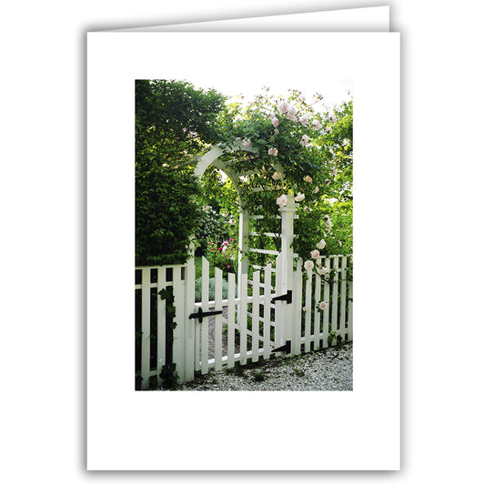Helen Eddy photo card - Rose Arbor In Bloom, Nantucket, MA - Item 1198-10