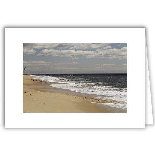Helen Eddy photo card - Beach Seagull Flock on left - Long Island - Item 50D-1231-1A