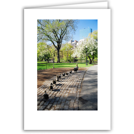 Helen Eddy photo card - Make Way For Ducklings - Item 50D-1353-2A