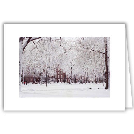 Helen Eddy photo card - Harvard Yard - Winter - Item 50D-181-36