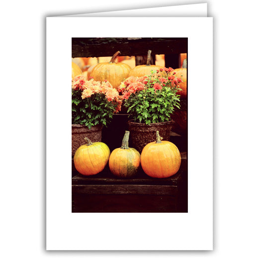Helen Eddy photo card - Orange Mums & Pumpkins - Item 50D-52