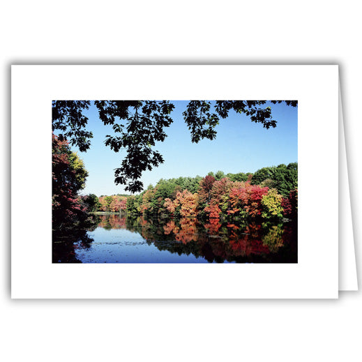 Helen Eddy photo card - A Concord Autumn - Item 50D-753-11