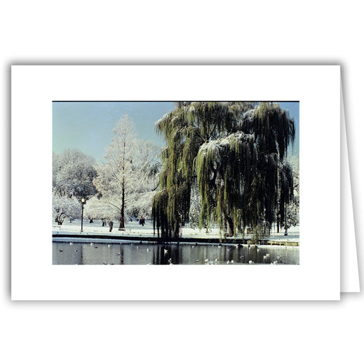 Helen Eddy photo card - Trees Boston Public Garden - Winter - Item 50D-B33