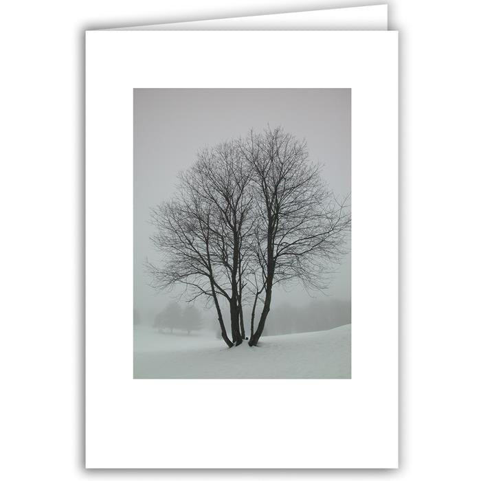 variant_image