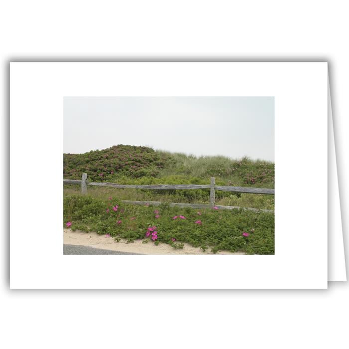 variant_image